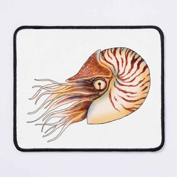Item preview, Nautilus designed and sold by lucamendieta.