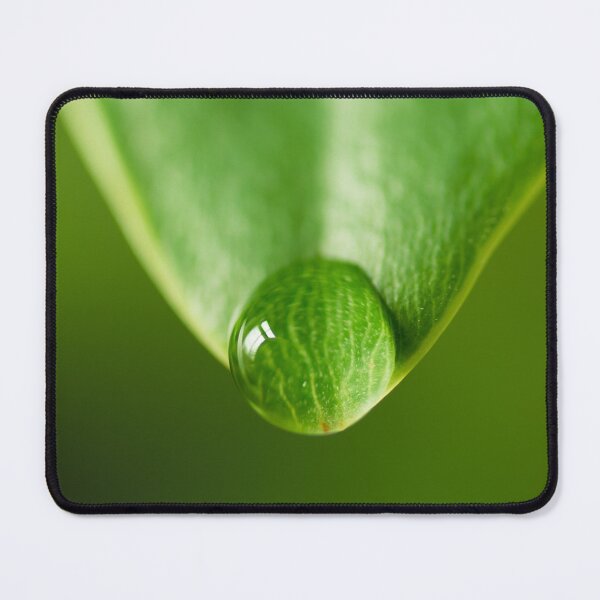 Item preview, Green leaf water droplet 136 designed and sold by PHILIP CHALK.