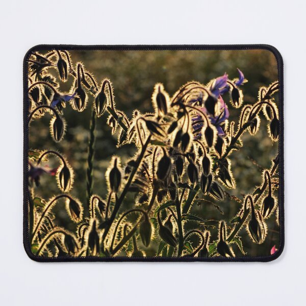 Item preview, "Shine of Gold" designed and sold by Andreas Koerner.