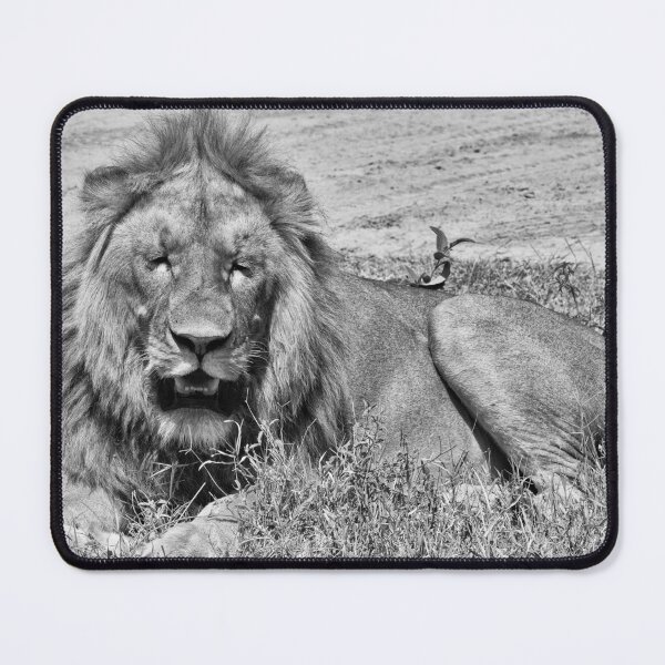Item preview, "Chill" (B&W) designed and sold by Andreas Koerner.
