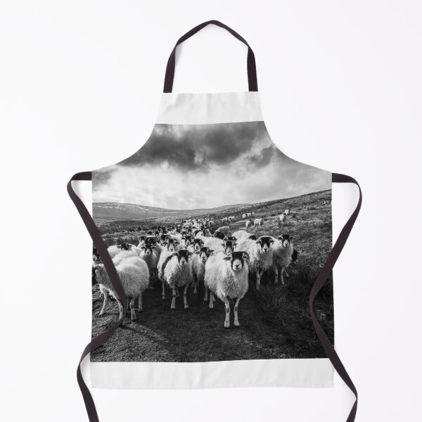 Item preview, I am NOT Your Mother! designed and sold by James Elkington.