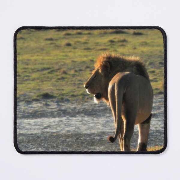 Item preview, "King of Ngorongoro" designed and sold by Andreas Koerner.