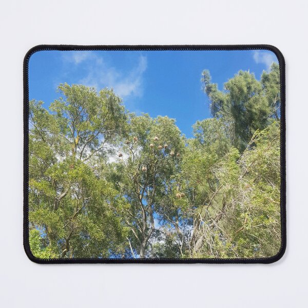 Item preview, Nests high up on a tree designed and sold by Blissfully-MK.