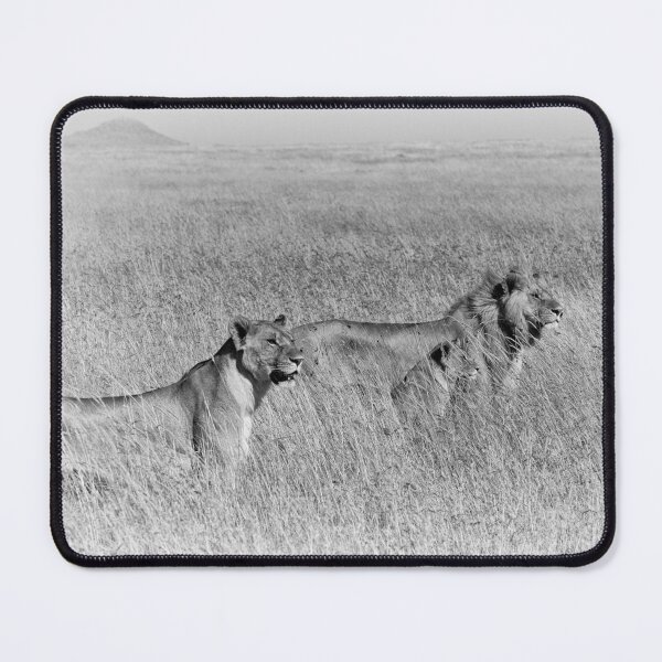 Item preview, "Pride" (B&W) designed and sold by Andreas Koerner.
