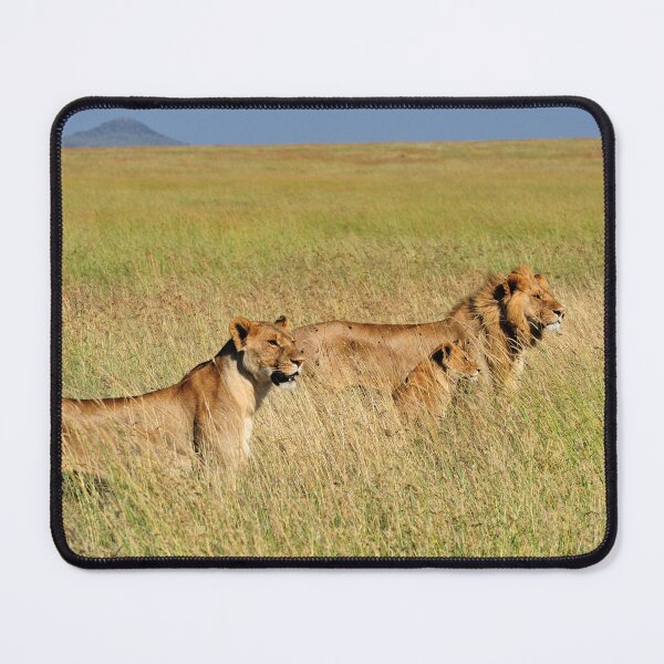 Item preview, "Pride" designed and sold by Andreas Koerner.
