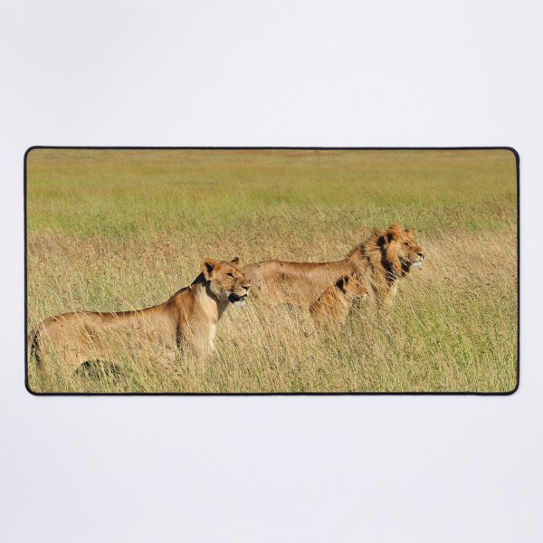 Item preview, "Pride" designed and sold by Andreas Koerner.