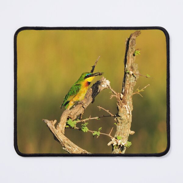 Item preview, "Success" designed and sold by Andreas Koerner.