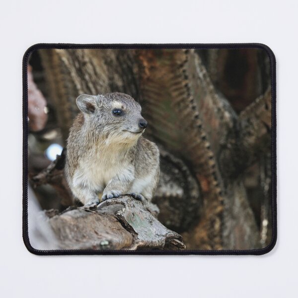 Item preview, "Watching the Scenery" designed and sold by Andreas Koerner.