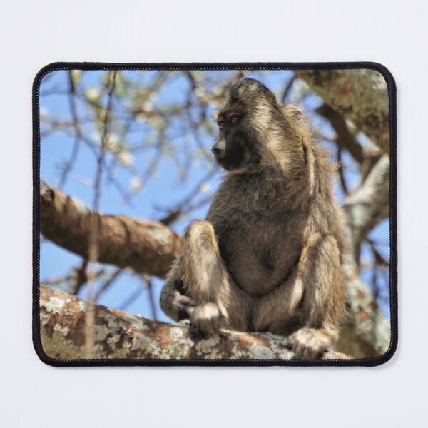 Item preview, "Surprise" designed and sold by Andreas Koerner.
