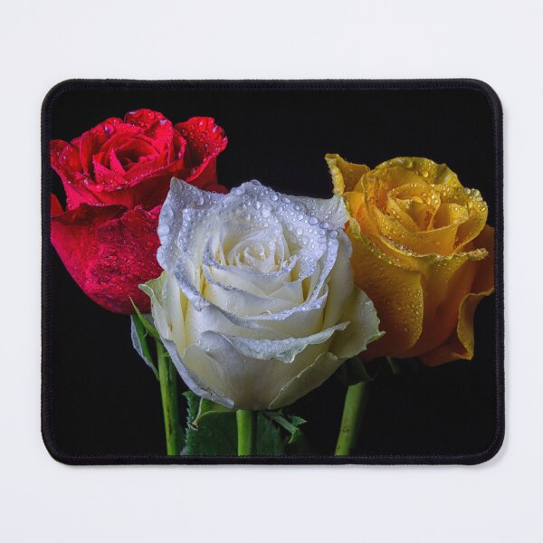 Item preview, Three roses red white and yellow 410 designed and sold by PHILIP CHALK.