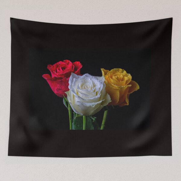 Item preview, Three roses red white and yellow 410 designed and sold by PHILIP CHALK.