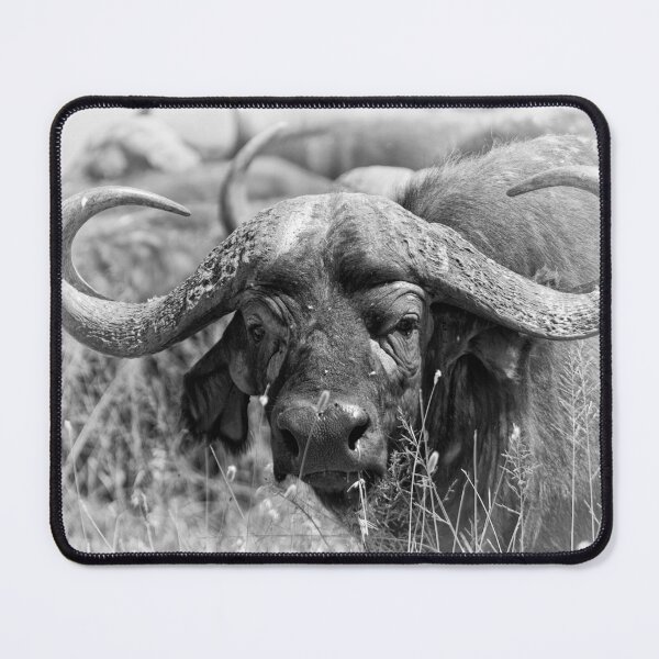Item preview, "Looking" (B&W) designed and sold by Andreas Koerner.