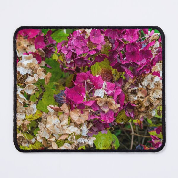 Item preview, Autumn Flowers 111 designed and sold by James Elkington.
