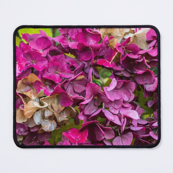 Item preview, Autumn Flowers 2 designed and sold by James Elkington.