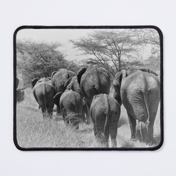 Item preview, "Generations" designed and sold by Andreas Koerner.