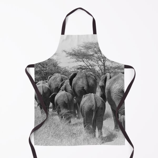 Item preview, "Generations" designed and sold by Andreas Koerner.