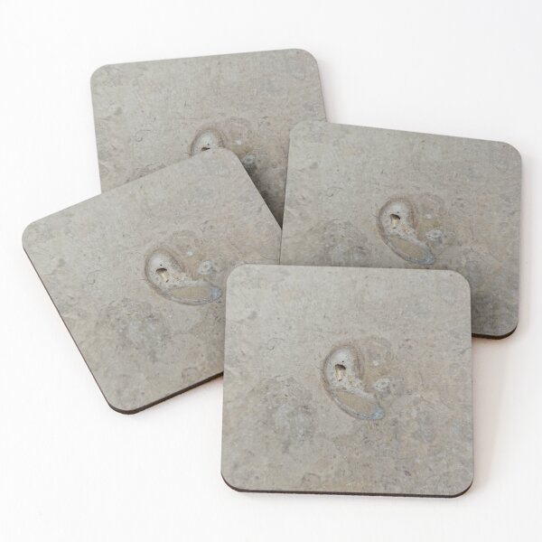 Item preview, Fossil in a Limestone Cover designed and sold by Gaboro.