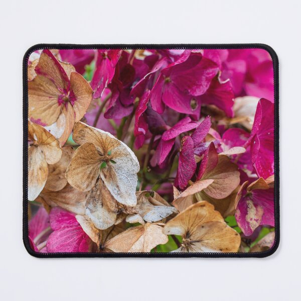 Item preview, Autumn Flowers 1 designed and sold by James Elkington.