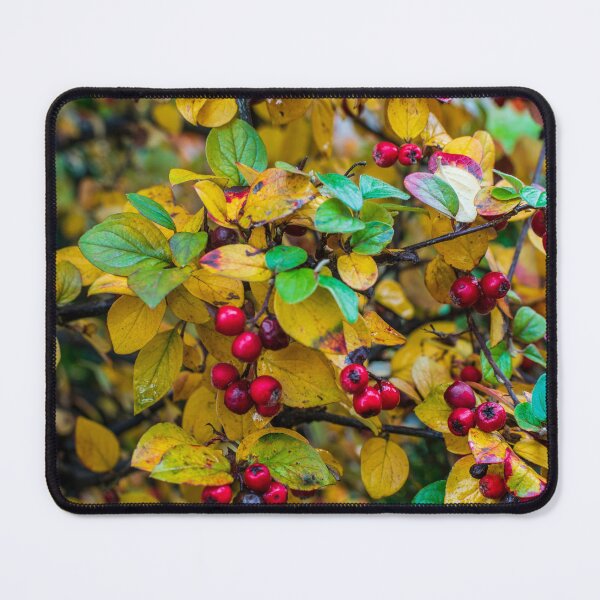 Item preview, Autumn Berries 2 designed and sold by James Elkington.