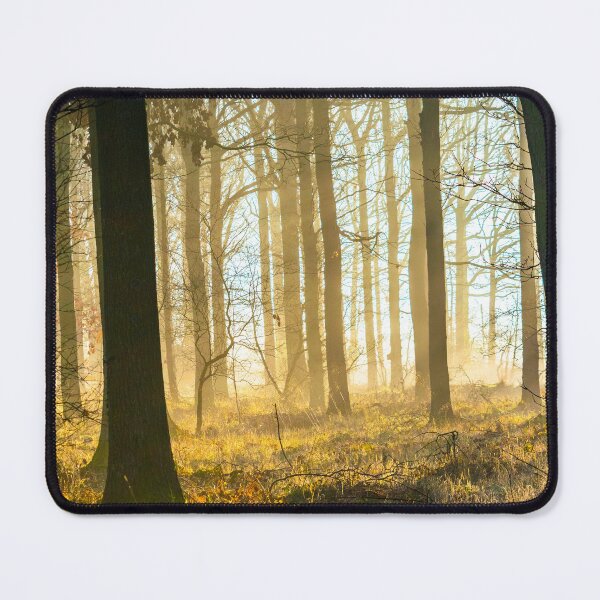 Item preview, Sunlight Through Autumn Woods  designed and sold by James Elkington.