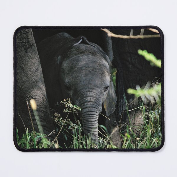 Item preview, "Curiosity" designed and sold by Andreas Koerner.
