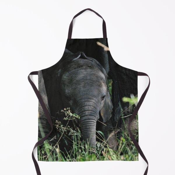 Item preview, "Curiosity" designed and sold by Andreas Koerner.