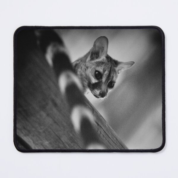 Item preview, "Whats up down there?" (B&W) designed and sold by Andreas Koerner.