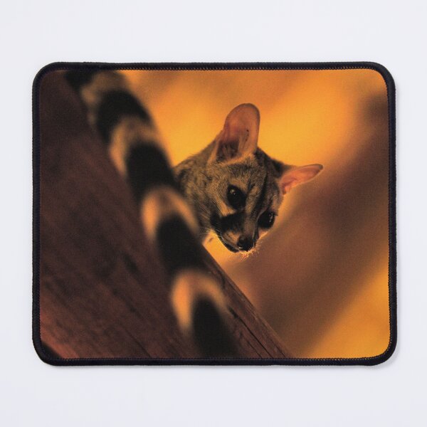 Item preview, "Whats up down there?" designed and sold by Andreas Koerner.