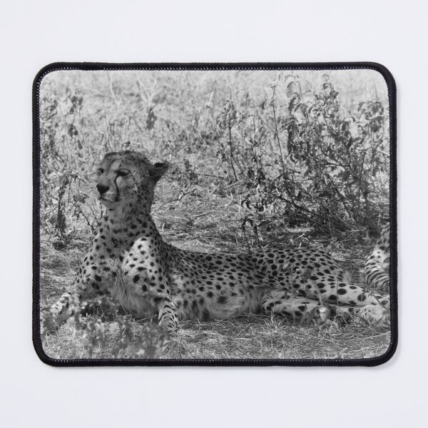 Item preview, "Alarmed" (B&W) designed and sold by Andreas Koerner.