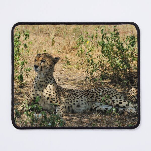 Item preview, "Alarmed" designed and sold by Andreas Koerner.