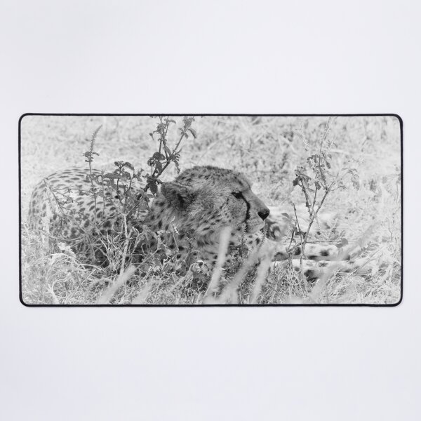 Item preview, "Observing" (B&W) designed and sold by Andreas Koerner.
