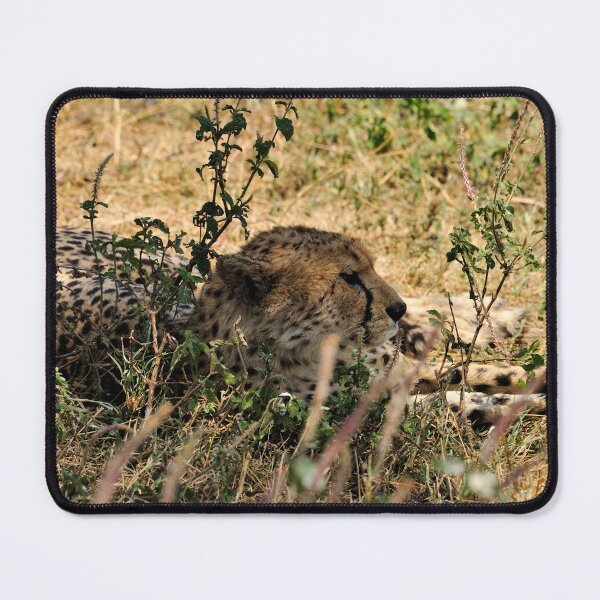 Item preview, "Observing" designed and sold by Andreas Koerner.
