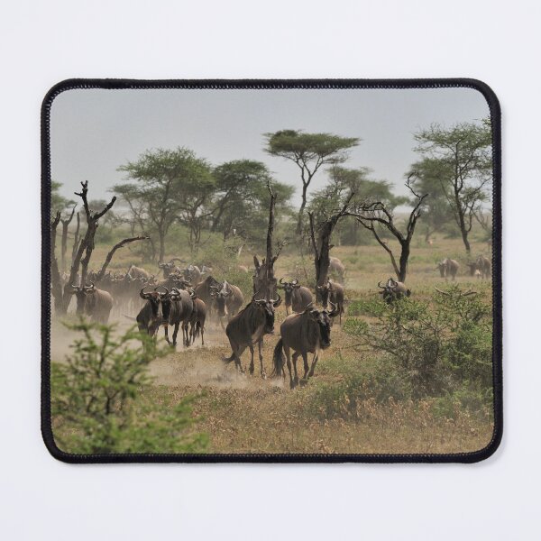 Item preview, "There they are" designed and sold by Andreas Koerner.