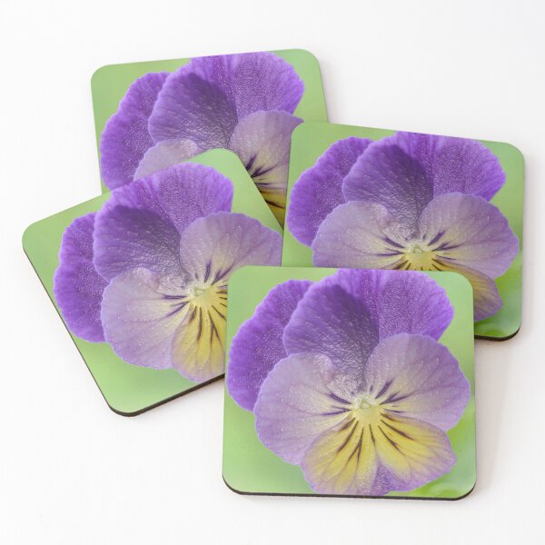Artikelvorschau, Pansy Viola Foto mit künstlerischen Filter angewendet entworfen und verkauft von Chris Burrows.