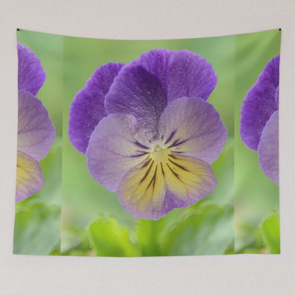 Item preview, Pansy Viola  Photo with artistic filter applied designed and sold by Chris Burrows.