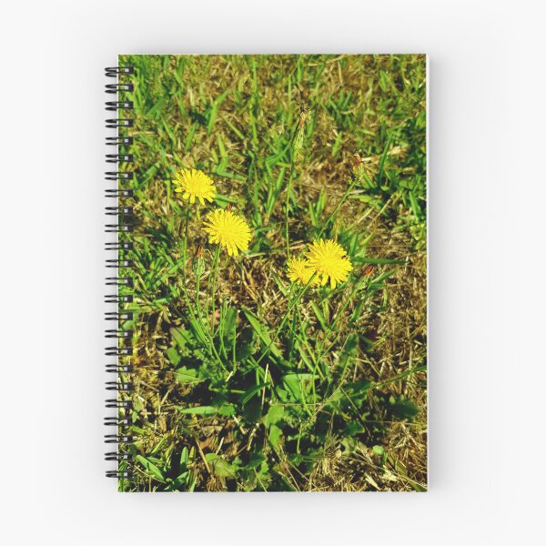 Item preview, Dandelions  designed and sold by Blissfully-MK.