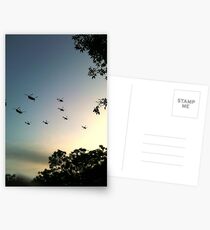 Helicopter display Postcards