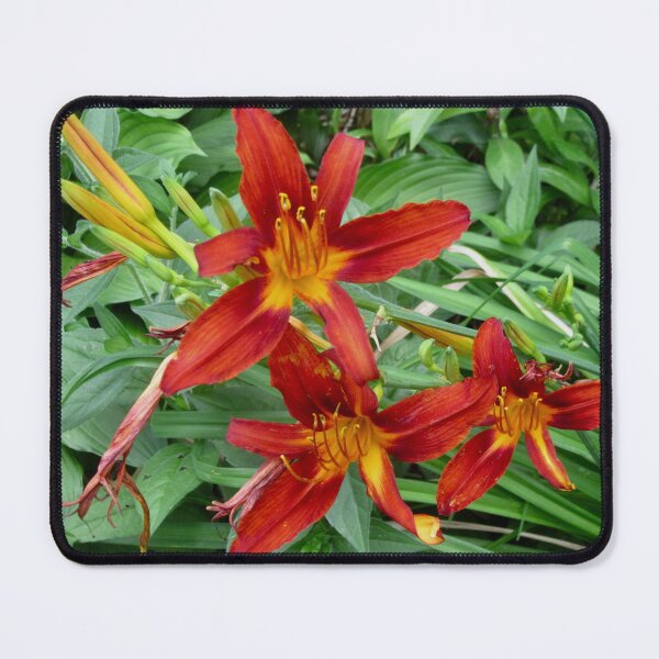 Item preview, Orange Lilies designed and sold by Shulie1.