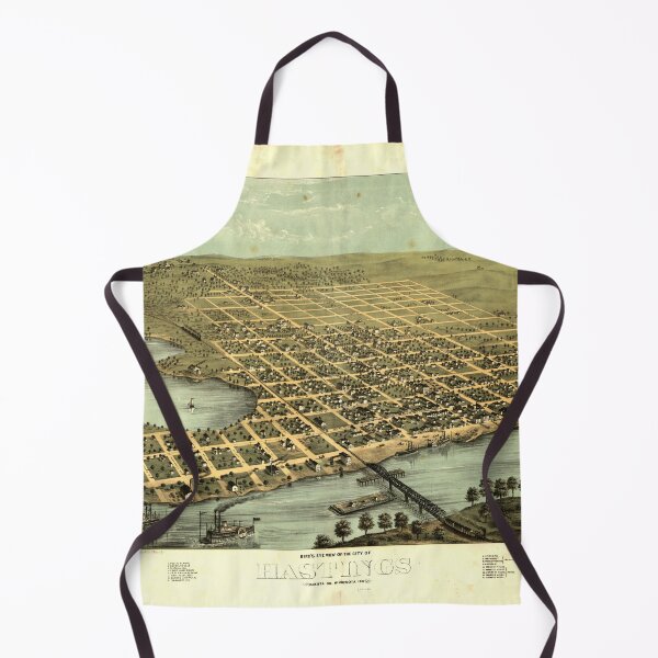 Item preview, Hastings, Minnesota (1867) designed and sold by allhistory.