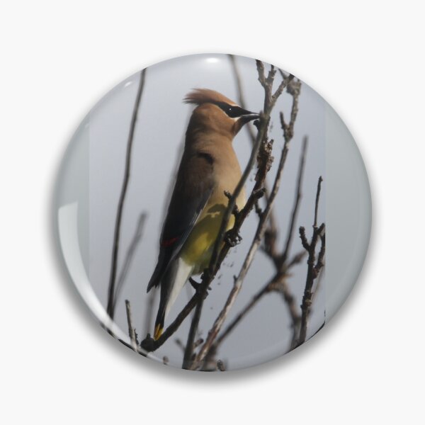 Item preview, Cedar waxwing designed and sold by chrisnature.