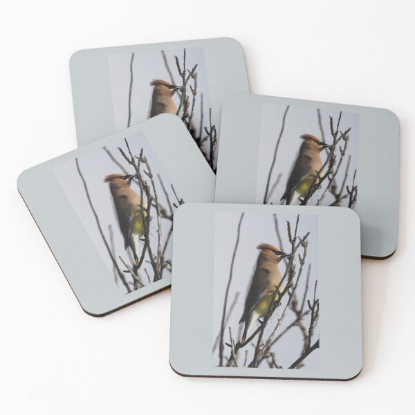 Item preview, Cedar waxwing designed and sold by chrisnature.