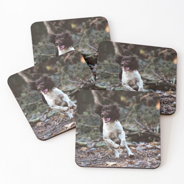 Item preview, Playful Liver and White Spaniel designed and sold by may whiston.
