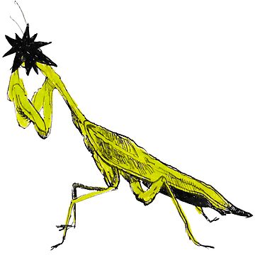 Artwork thumbnail, Anonymous Praying Mantis by permabunnyink