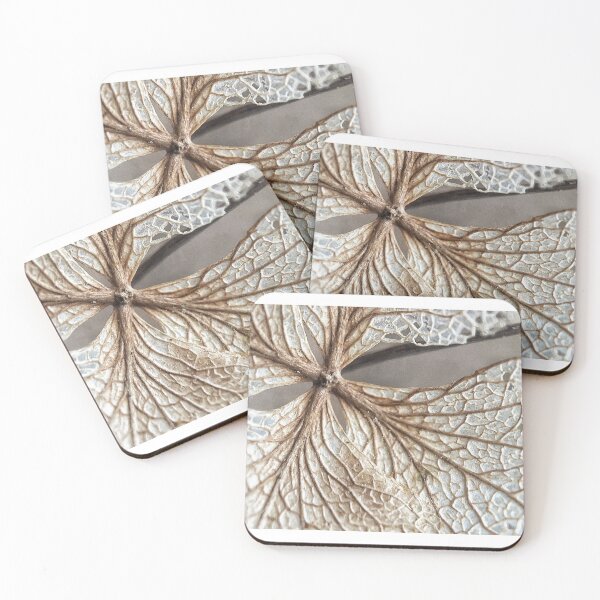 Item preview, Piedmont designed and sold by Jason Tompkins.