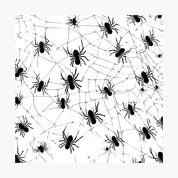 Item preview, Spider's web designed and sold by StyleSketch.