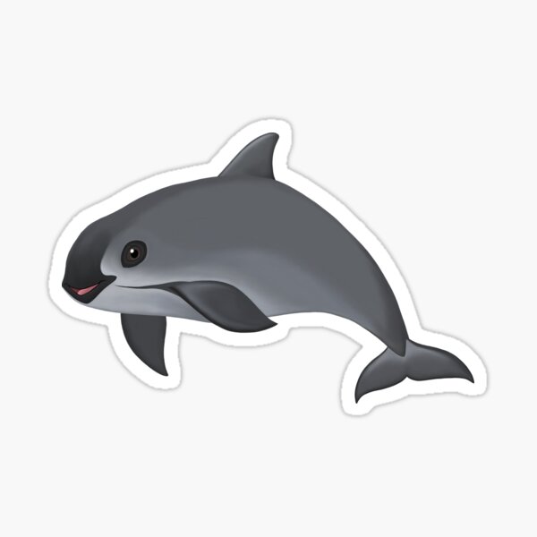 Save The Vaquita Stickers for Sale | Redbubble