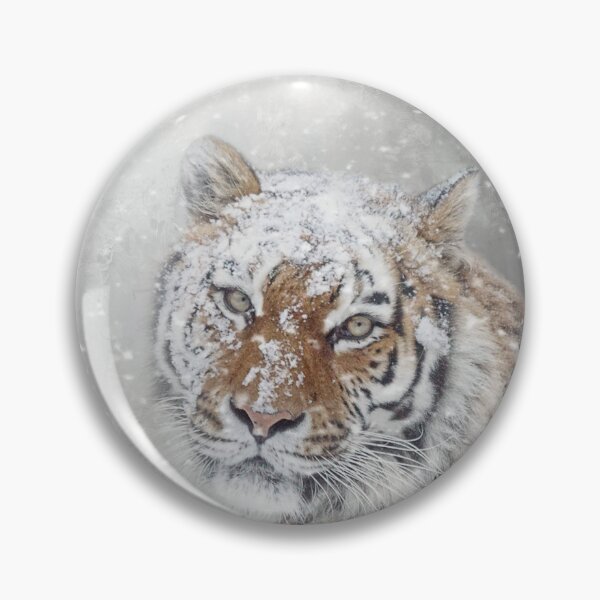 Item preview, Winter Tiger Portrait designed and sold by Elisabeth Lucas.