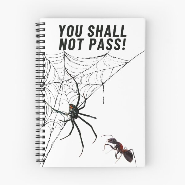 Item preview, You not pass! designed and sold by Visual Arts Sławomir Grzanek.