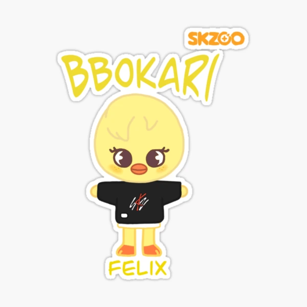 BbokAri Skzoo