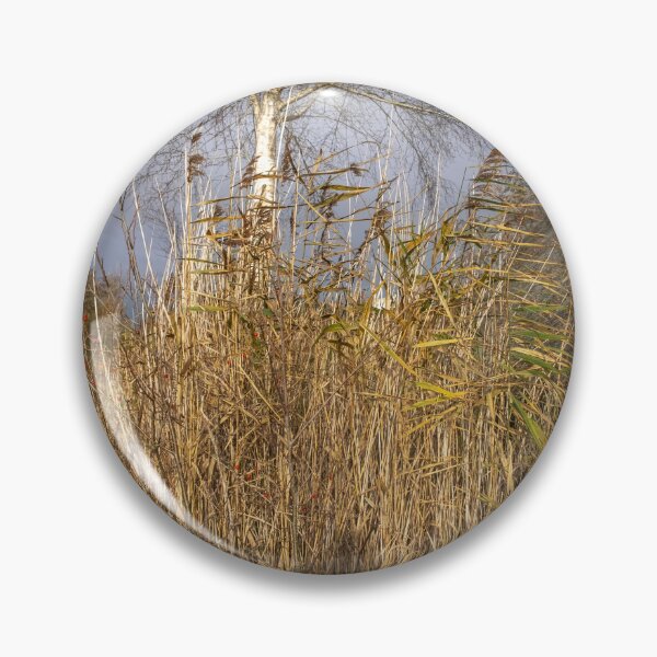Item preview, Golden reeds and boat shed on the River Ant, Norfolk Broads designed and sold by yackers1.
